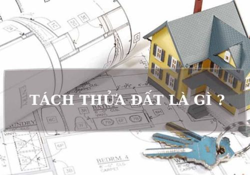 Thủ tục tách sổ đỏ theo di chúc năm 2023